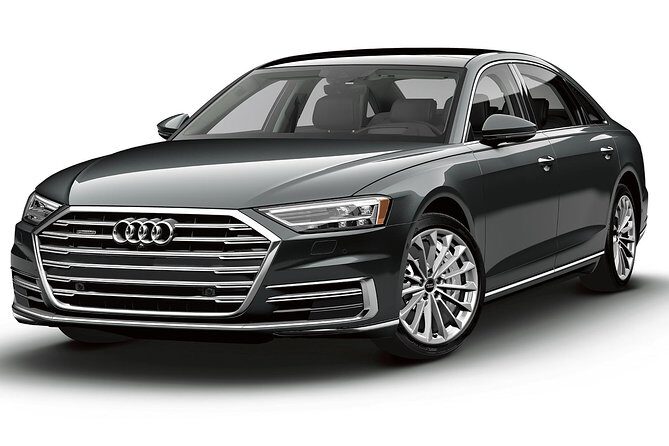 Private Departure Transfer: Hotel or Cruise Port to Sydney Airport - Who Should Book This Transfer?