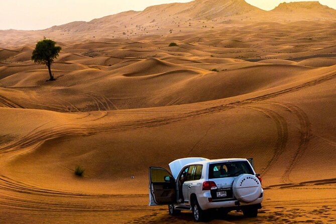 Private Desert Excursion With Camel Ride Sandboard & BBQ Dinner - What to Expect on Your Excursion