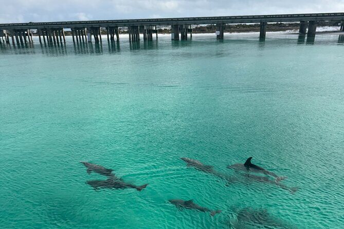 Private Destin Harbor Boat Tour Adventure - Value for Money
