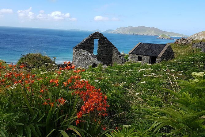Private Dingle Peninsula Full-Day Tour - An In-Depth Look at the Tour Itinerary