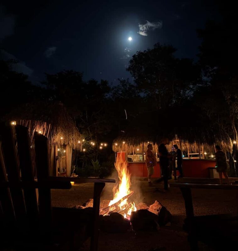 Private dinner inside the cenote - An In-Depth Look at the Experience