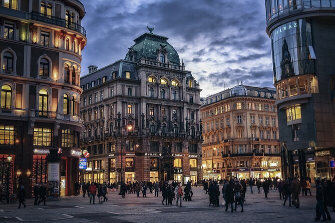 Private Direct Transfer From Bratislava to Vienna Airport - Accessibility and Participation