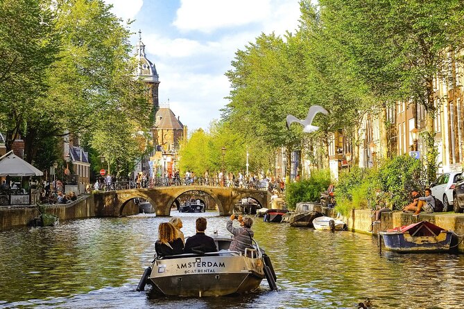 Private Direct Transfer From Eindhoven to Amsterdam - Experience Highlights