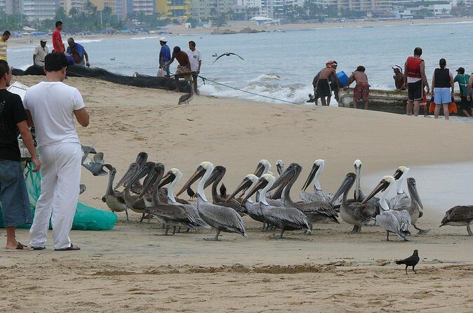 Private Direct Transfer From Mexico City to Acapulco - Who Will Love This Service?