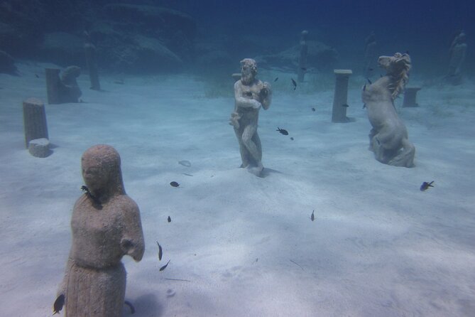 Private Discovery Dive + Photos & Videos - Customer Reviews and Testimonials