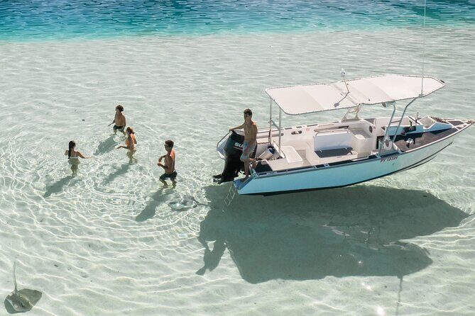 Private Discovery of the Marine Fauna of Moorea - What to Expect from the Private Moorea Marine Tour