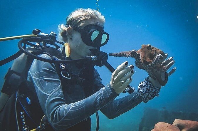 Private Dive + videographer/Photographer (Certified divers only) - Practical Tips for Participants