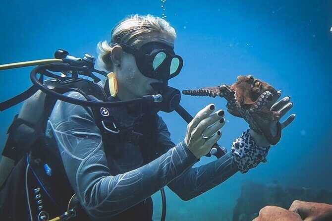 Private Dive + videographer/Photographer (Certified divers only) - The Sum Up: Who Will Love This Experience?