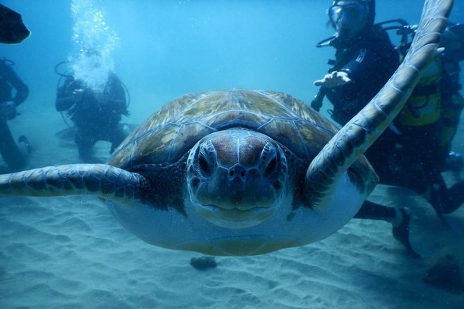 Private Diving at Zenobia Wreck in Larnaka - Cancellation Policy