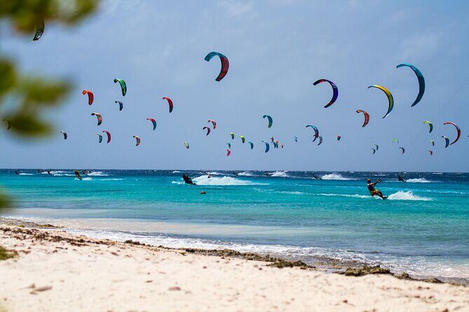 Private Diving & Southside tour - What’s Included and What You’ll Need