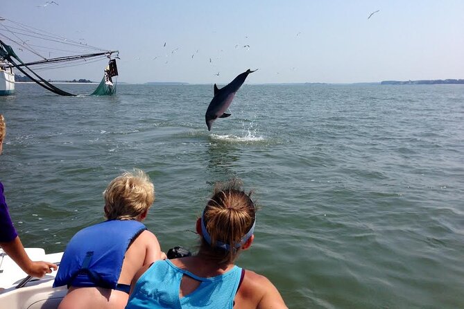Private Dolphin and Nature Tour of Hilton Head - What to Expect on the Tour