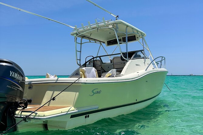Private Dolphin and Shell Island Excursion in Panama Beach - Accessibility and Recommendations
