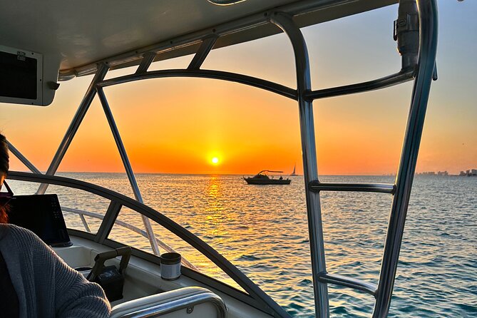 Private Dolphin and Shell Island Excursion in Panama Beach - What to Expect on the Tour