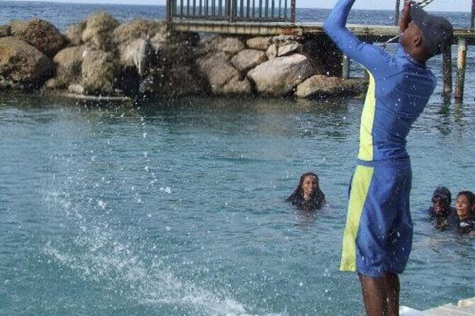 Private Dolphin Cove Adventure - Who Should Consider This Tour?