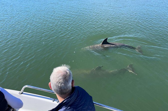 Private Dolphin, Lighthouse and Shelling Adventure (Folly Beach) - Frequently Asked Questions