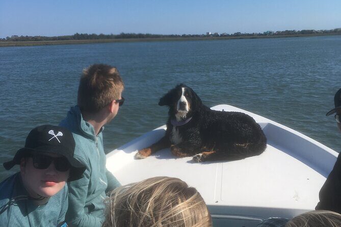 Private Dolphin, Lighthouse and Shelling Adventure (Folly Beach) - Final Thoughts