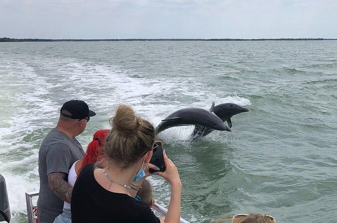 Private Dolphin, Shelling and Birding Tour - FAQs