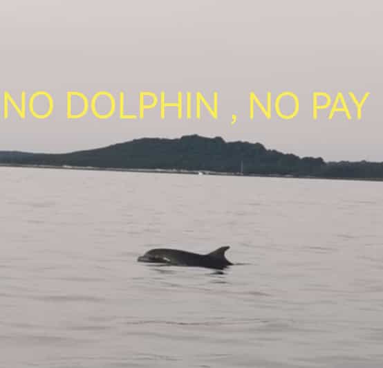Private Dolphin Tour With Speedboat, No Dolphin No Pay - Good To Know