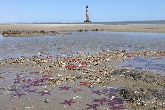 Private Dolphin Watch, Lighthouse and Ecological Boat Tours - The Experience: What You Will Feel and See