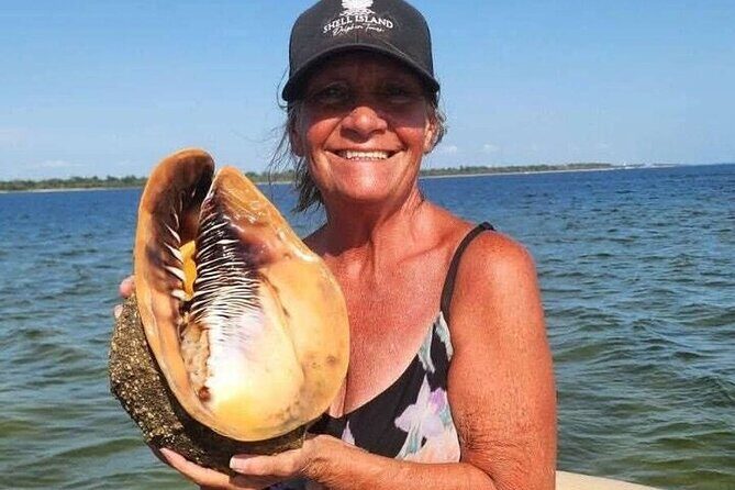 Private Dolphin Watching and Sightseeing Tour Panama city beach - In-Depth Review of the Tour Experience