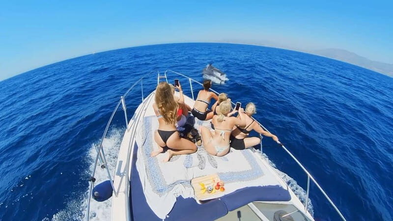 PRIVATE DOLPHIN WATCHING SUNSEEKER WITH DRINKS ON FUENGIROLA - Setting Sail from Fuengirola: What to Expect