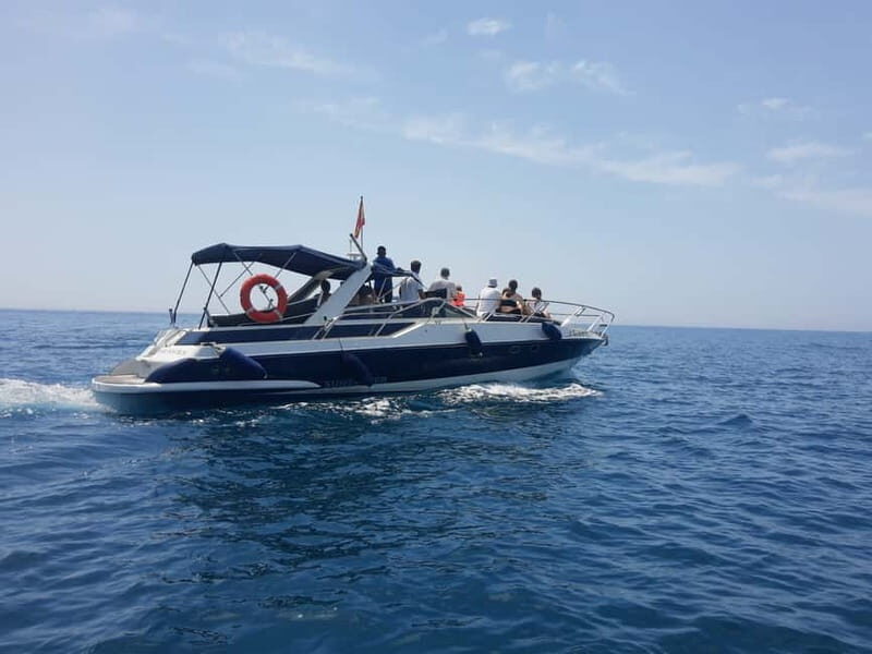 PRIVATE DOLPHIN WATCHING SUNSEEKER WITH DRINKS ON FUENGIROLA - The Journey: Dolphin Watching in their Natural Habitat