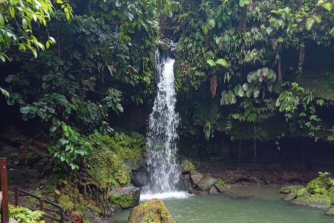 Private Dominica Tour to Trafalgar Falls &Titou Gorge via Minibus - Frequently Asked Questions