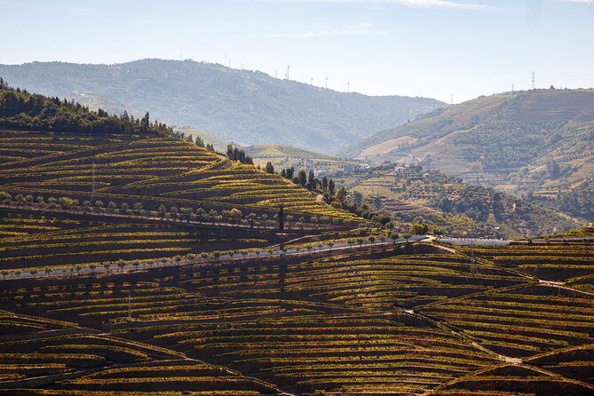 Private Douro 4x4 Adventure from Porto - What You Can Expect in Terms of Logistics and Value