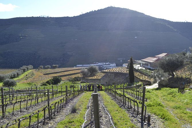 Private Douro 4x4 Adventure from Porto - The Real Value: Why This Tour Stands Out