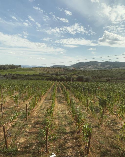 Private Douro Valley Full Day Tour - Frequently Asked Questions