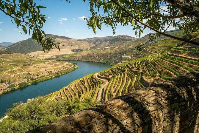 Private Douro Valley Tour: Boutique Winerie & River Cruise - Key Points