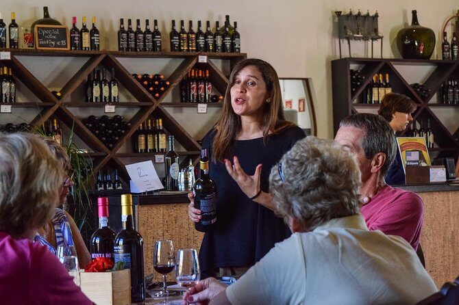 Private Douro Valley Tour: Boutique Winerie & River Cruise - Who Should Consider This Tour?