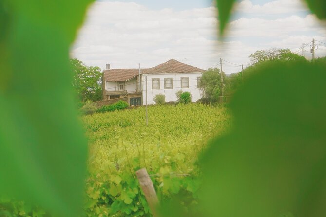 Private Douro Valley Tour With Lunch & Wines - Itinerary Highlights