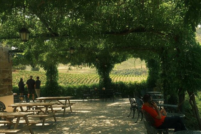 Private Douro Valley Tour With Lunch & Wines - Accessibility Information