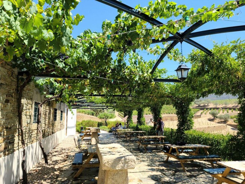 Private Douro Valley Tour:Visits,Tastings,Boat and Lunch 5* - Key Points