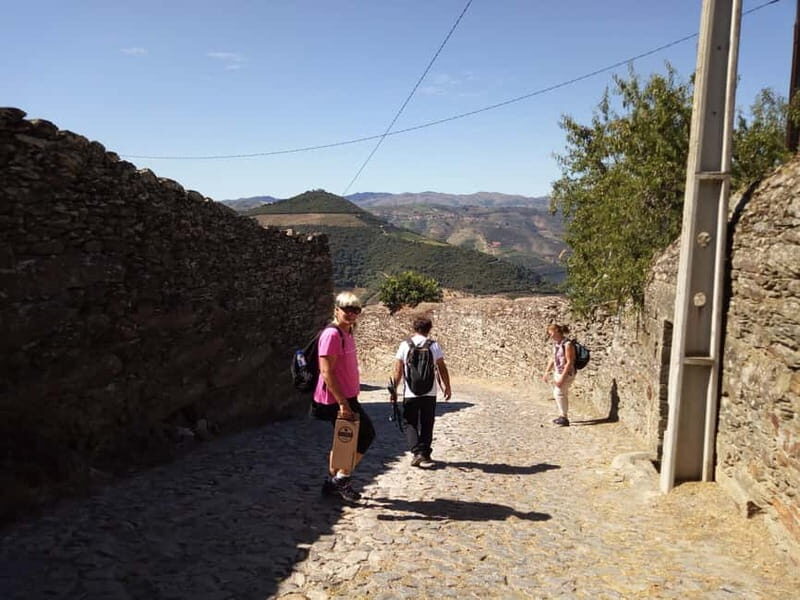 Private Douro Wine Experience - Full Day in the Douro Valley - Exploring the Douro Valley: A Practical Breakdown