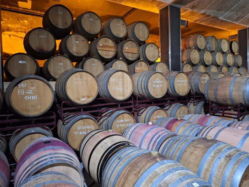 Private Douro Wine Experience - Full Day in the Douro Valley - Final Thoughts