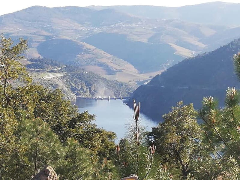 Private Douro Wine Experience - Full Day in the Douro Valley - FAQ