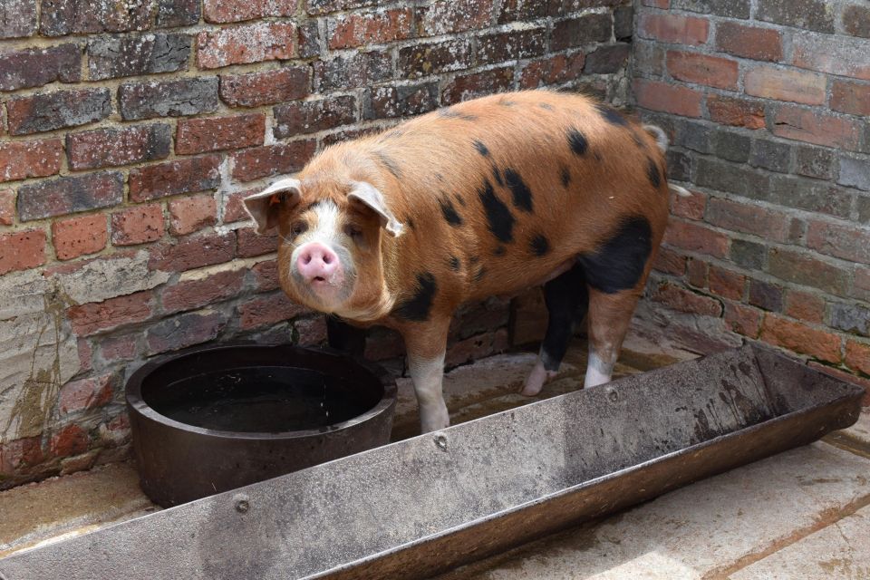 Private Downton Abbey Day In The Cotswolds Tour. - Frequently Asked Questions