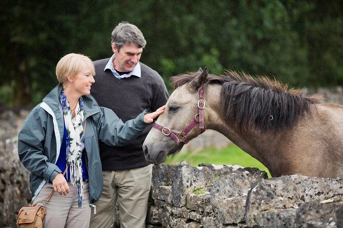 Private Driver - Key Points