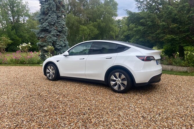 Private Driver Between Paris and Charles De Gaulle / Orly Airport - Flexible Scheduling Accommodations