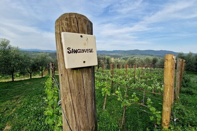 Private driver Florence Wine Tour countryside of Tuscany 7 hours - An In-Depth Look at the Tuscany Private Wine Tour
