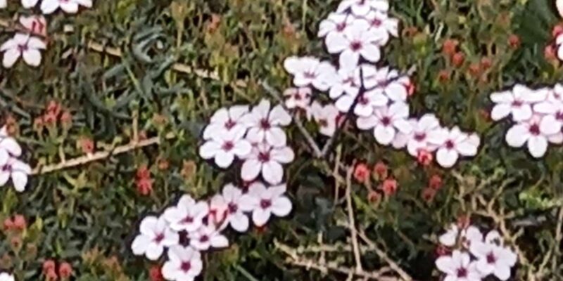 Private Driver/Guide - Booking and Availability