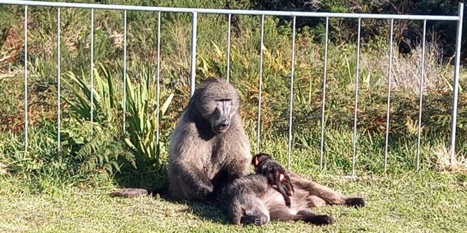 Private Driver/Guide - Customized Itineraries