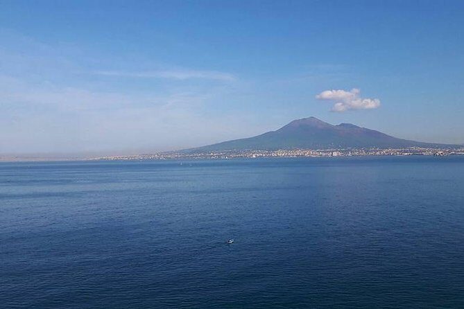 Private Driver VIP Tour of Sorrento & its food delicacies - Key Points