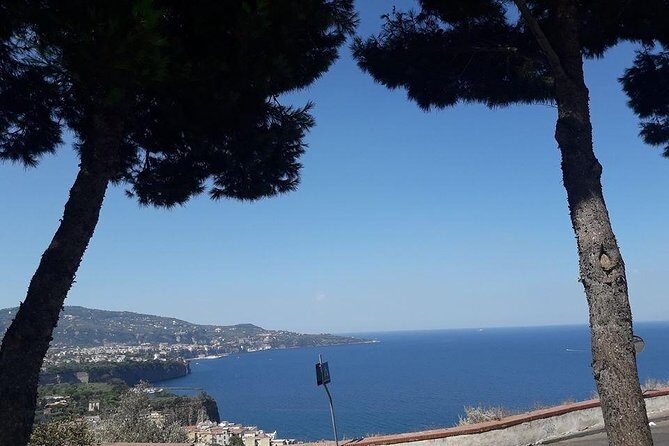 Private Driver VIP Tour of Sorrento & its food delicacies - The Transport & Group Size