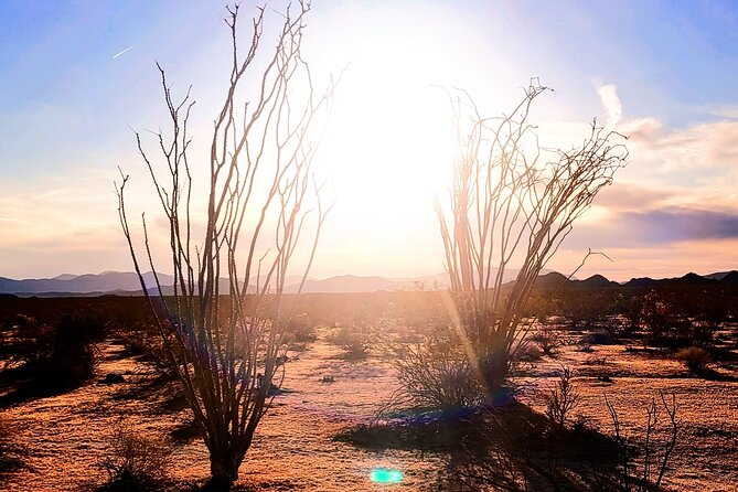 Private Driving and Hiking Tour in Joshua Tree National Park - Pickup Locations