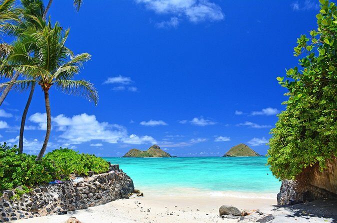 Private Driving Tour of Oahu Scenic South Shore - Analyzing the Value