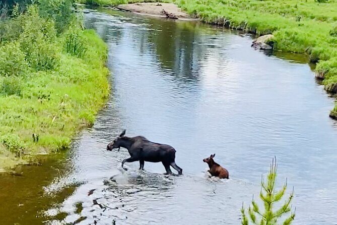Private Driving Tour of the Rocky Mountain National Park - Discover the Beauty of Rocky Mountain National Park with a Private Driving Tour
