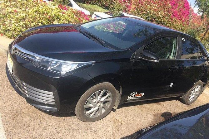 Private Dubai Airport Transfer DXB to Dubai City - Accessibility Features